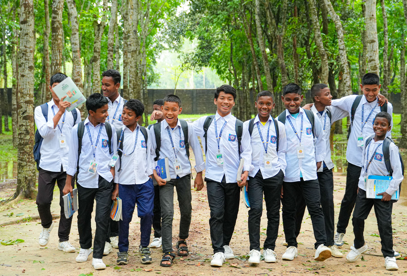 Program Insight